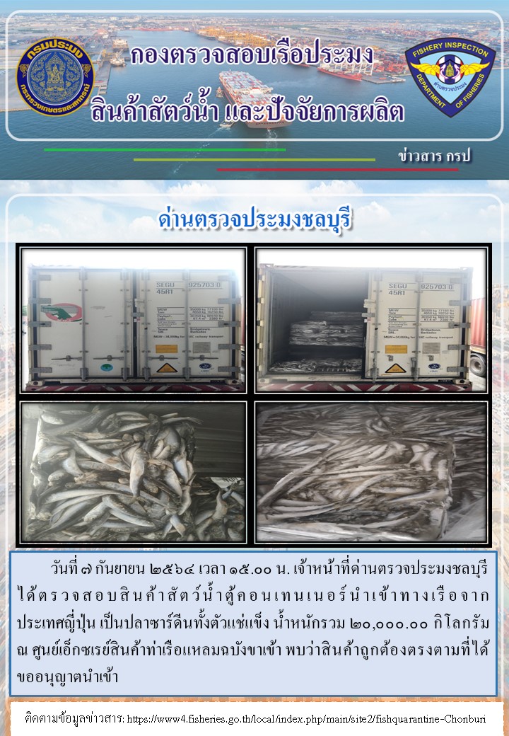 การปฏิบัติงานของเจ้าหน้าที่ด่านตรวจประมงชลบุรีประจำวันที่ 7 กันยายน 2564..คลิก