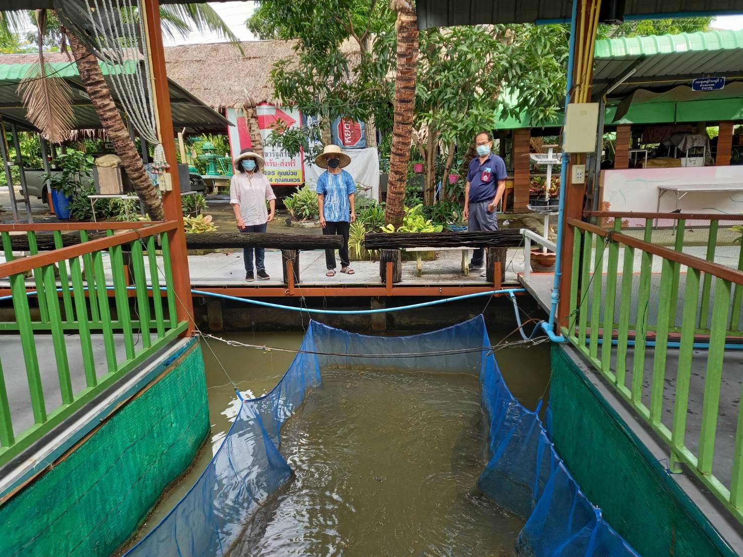 (อ.บางใหญ่) เก็บข้อมูลโครงการส่งเสริมการเพาะเลี้ยงสัตว์น้ำ (ปลาดุก/กบ) ในกระชังบก..คลิก