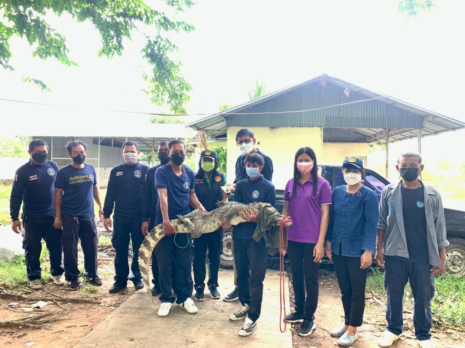 รับมอบจระเข้ในพื้นที่อำเภอหนองบัว จังหวัดนครสวรรค์ หลังจากเกษตรกรยกเลิกการเลี้ยง ส่งมอบศูนย์วิจัยและพัฒนาประมงน้ำจืดนครสวรรค์เพาะเลี้ยงและศึกษาวิจัย..คลิก