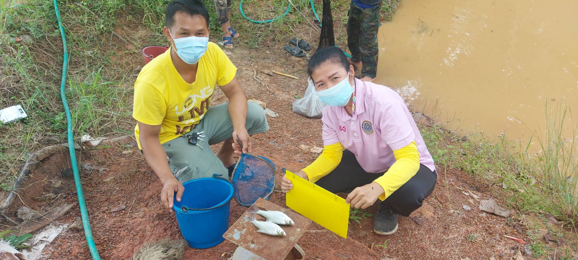 ประมงอำเภอสว่างวีระวงศ์   ลงพื้นที่เยี่ยมเยียน ติดตามให้คำแนะนำเกษตรกรที่เข้าร่วมโครงการเกษตรกรรมยั่งยืน กิจกรรมพัฒนาเกษตรทฤษฎีใหม่ ปี 2564  ปี รายนายวิเศษ สิงหาภู ที่ตั้งแปลง ม.5 ต.สว่าง อ.สว่างวีระวงศ์ จ.อุบลราชธานี ..คลิก