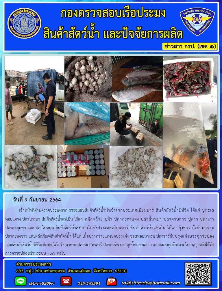 วันที่ 9 กันยายน 2564   	เจ้าหน้าที่ด่านตรวจประมงตาก ตรวจสอบสินค้าสัตว์น้ำนำเข้าจากประเทศเมียนมาร์ สินค้าสัตว์น้ำมีชีวิต ได้แก่ ปูทะเล หอยแครง ปลาไหลนา สินค้าสัตว์น้ำแช่เย็น ได้แก่ หมึกกล้วย ปูม้า ปลากะพงแดง ปลาลิ้นหมา ปลาดาบลาว ปูดาว ปลาเก๋า ปลาตะลุมพุก และ ปลาใบขนุน สินค้าสัตว์น้ำส่งออกไปยังประเทศเมียนมาร์ สินค้าสัตว์น้ำแช่เย็น ได้แก่ กุ้งขาว กุ้งก้ามกราม ปลากะพงขาว และผลิตภัณฑ์สินค้าสัตว์น้ำ ได้แก่ เนื้อปลาทรายแดงบดปรุงแต่ง ซอสหอยนางรม ปลาซาร์ดีนปรุงแต่งบรรจุกระป๋อง และสินค้าสัตว์น้ำมีชีวิตส่งออกได้แก่ ปลาทอง ปลาหมอมาลาวี ปลาคาร์พ ปลาดุกบิ๊กอุย ผลการตรวจสอบถูกต้องตามใบอนุญาตจึงได้ทำการตรวจปล่อยผ่านระบบ FSW ต่อไป..คลิก