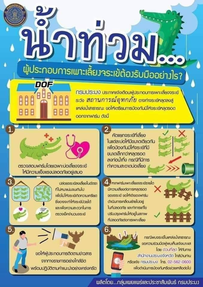 ประชาสัมพันธ์ แจ้งเตือนผู้ประกอบการเพาะเลี้ยงจระเข้ ระวังสถานการณ์ อุทกภัย..คลิก