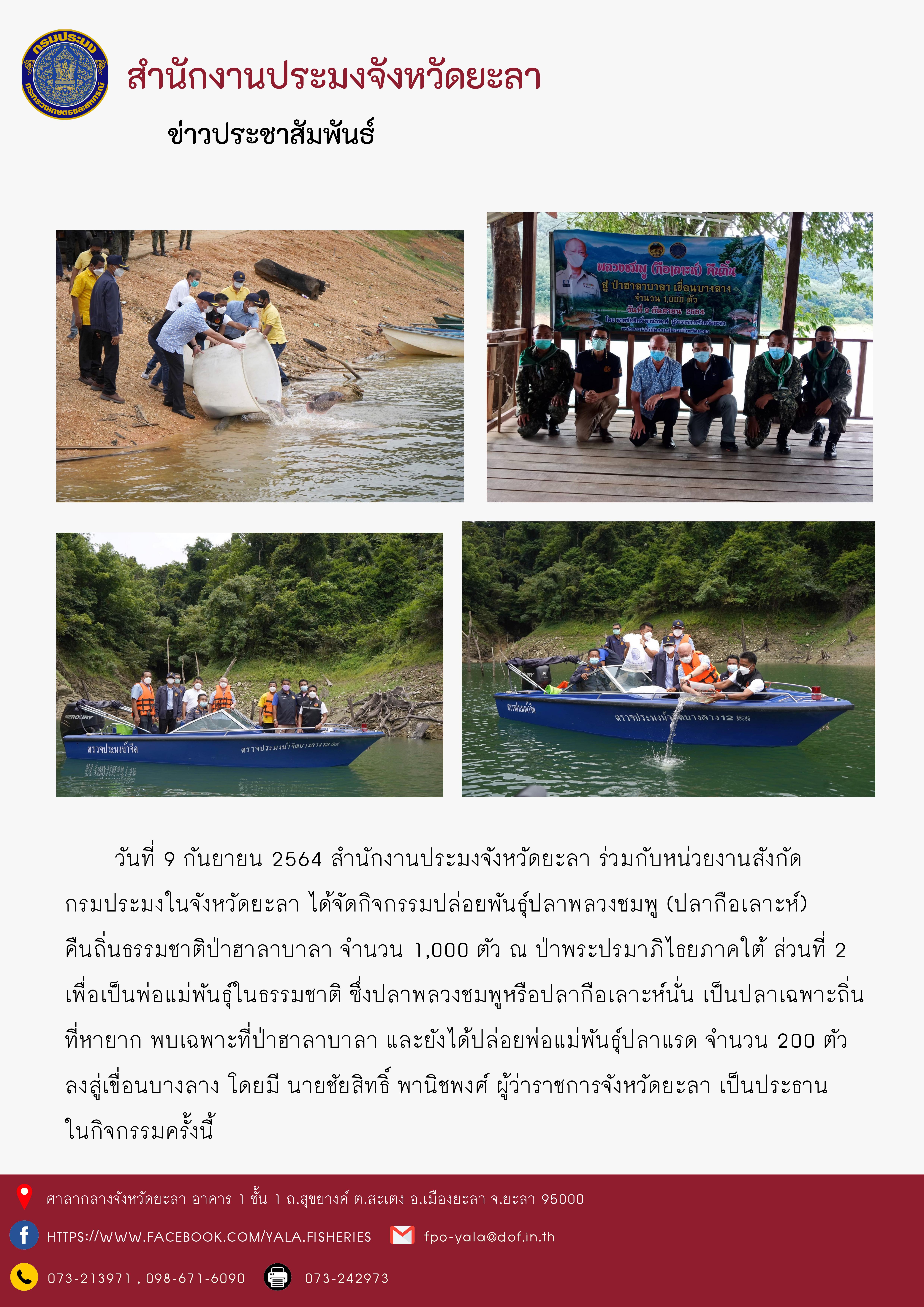 ปล่อยพันธุ์ปลาพลวงชมพู (ปลากือเลาะห์) คืนถิ่นธรรมชาติ..คลิก