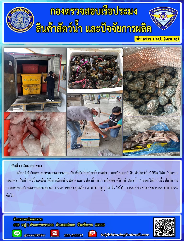 วันที่ 11 กันยายน 2564  	เจ้าหน้าที่ด่านตรวจประมงตาก ตรวจสอบสินค้าสัตว์น้ำนำเข้าจากประเทศเมียนมาร์ สินค้าสัตว์น้ำมีชีวิต ได้แก่ ปูทะเล  หอยแครง สินค้าสัตว์น้ำแช่เย็น ได้แก่ หมึกกล้วย ปลาดาบลาว ปลาลิ้นหมา ผลิตภัณฑ์สินค้าสัตวน้ำส่งออกได้แก่ เนื้อปลาทรายแดงบดปรุงแต่ง ซอสหอยนางรม ผลการตรวจสอบถูกต้องตามใบอนุญาต จึงได้ทำการตรวจปล่อยผ่านระบบ FSW ต่อไป..คลิก