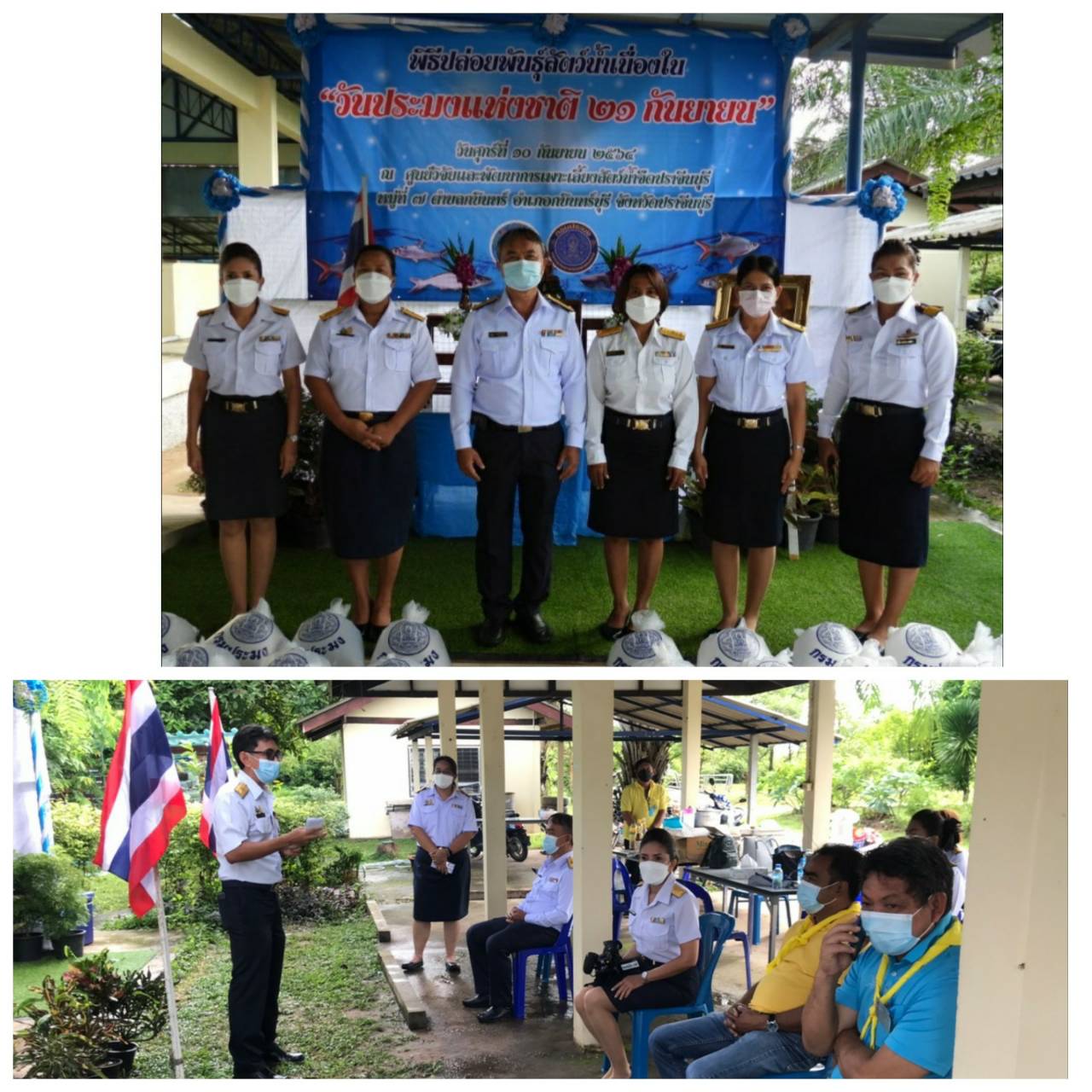 จัดพิธีมอบพันธุ์สัตว์น้ำเพื่อปล่อยเนื่องในวันประมงแห่งชาติและวันสถาปนากรมประมงครบรอบ 95 ปี (21กันยายน 2564)..คลิก