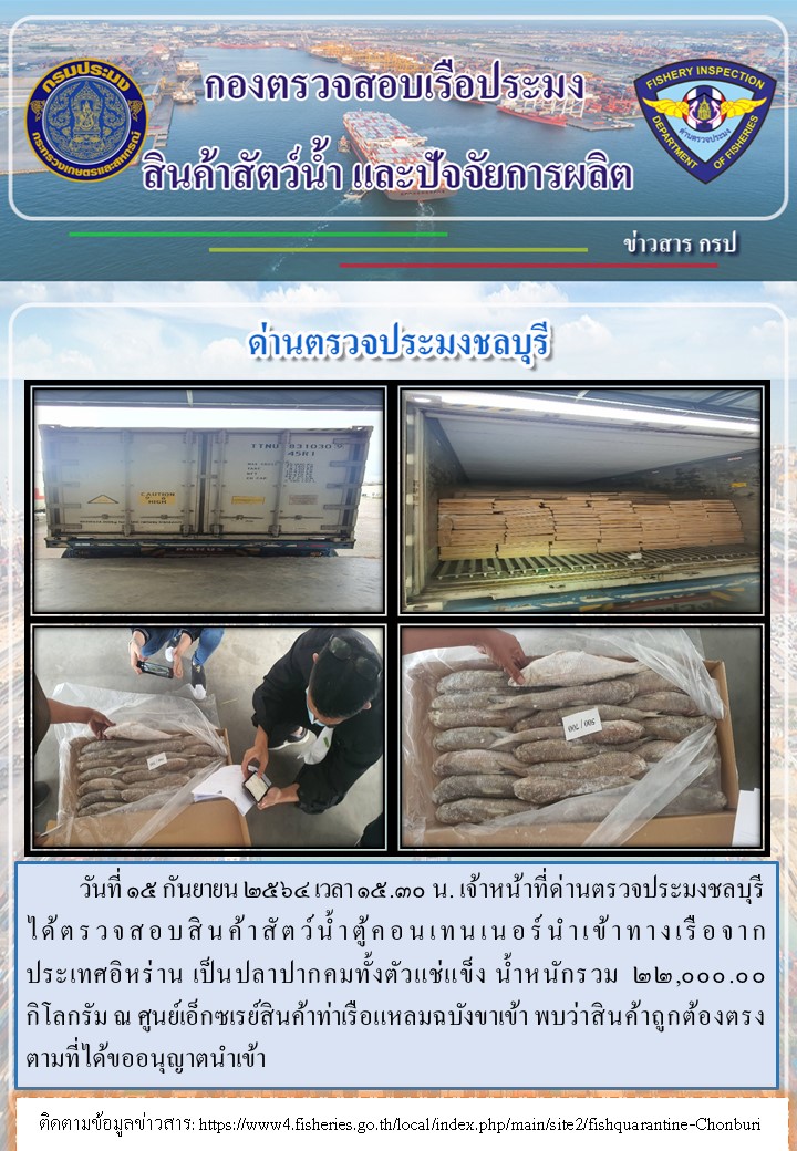 การปฏิบัติงานของเจ้าหน้าที่ด่านตรวจประมงชลบุรีประจำวันที่ 15 กันยายน 2564..คลิก