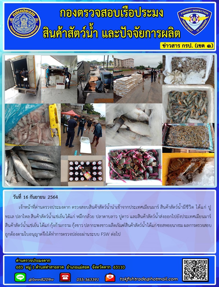 วันที่ 16 กันยายน 2564   	เจ้าหน้าที่ด่านตรวจประมงตาก ตรวจสอบสินค้าสัตว์น้ำนำเข้าจากประเทศเมียนมาร์ สินค้าสัตว์น้ำมีชีวิต ได้แก่ ปูทะเล ปลาไหล สินค้าสัตว์น้ำแช่เย็น ได้แก่ หมึกกล้วย ปลาดาบลาว ปูดาว และสินค้าสัตว์น้ำส่งออกไปยังประเทศเมียนมาร์ สินค้าสัตว์น้ำแช่เย็น ได้แก่ กุ้งก้ามกราม กุ้งขาว ปลากะพงขาว ผลิตภัณฑ์สินค้าสัตว์น้ำ ได้แก่ ซอสหอยนางรม ผลการตรวจสอบถูกต้องตามใบอนุญาตจึงได้ทำการตรวจปล่อยผ่านระบบ FSW ต่อไป..คลิก