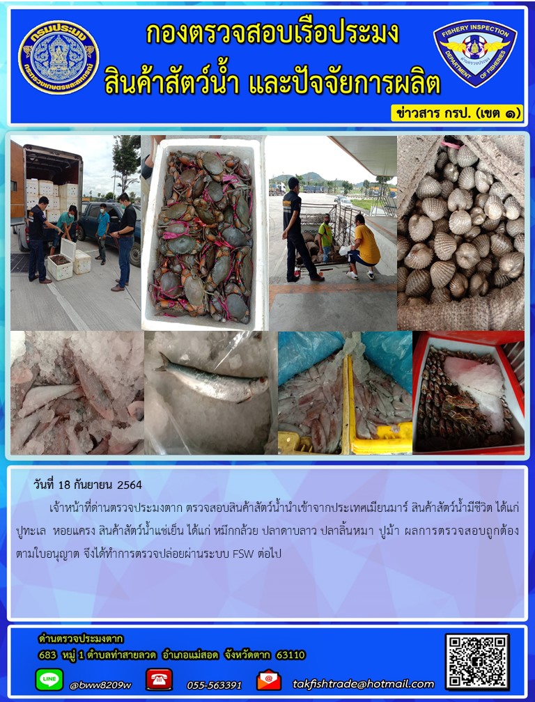 วันที่ 18 กันยายน 2564  	เจ้าหน้าที่ด่านตรวจประมงตาก ตรวจสอบสินค้าสัตว์น้ำนำเข้าจากประเทศเมียนมาร์ สินค้าสัตว์น้ำมีชีวิต ได้แก่ ปูทะเล  หอยแครง สินค้าสัตว์น้ำแช่เย็น ได้แก่ หมึกกล้วย ปลาดาบลาว ปลาลิ้นหมา ปูม้า ผลการตรวจสอบถูกต้องตามใบอนุญาต จึงได้ทำการตรวจปล่อยผ่านระบบ FSW ต่อไป..คลิก