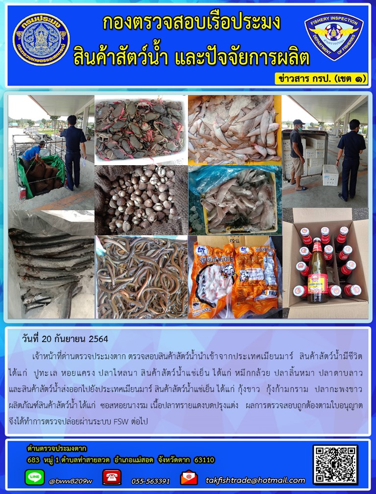 วันที่ 20 กันยายน 2564   	เจ้าหน้าที่ด่านตรวจประมงตาก ตรวจสอบสินค้าสัตว์น้ำนำเข้าจากประเทศเมียนมาร์  สินค้าสัตว์น้ำมีชีวิต  ได้แก่  ปูทะเล หอยแครง ปลาไหลนา สินค้าสัตว์น้ำแช่เย็น ได้แก่ หมึกกล้วย ปลาลิ้นหมา ปลาดาบลาว                และสินค้าสัตว์น้ำส่งออกไปยังประเทศเมียนมาร์ สินค้าสัตว์น้ำแช่เย็น ได้แก่ กุ้งขาว  กุ้งก้ามกราม  ปลากะพงขาว ผลิตภัณฑ์สินค้าสัตว์น้ำ ได้แก่  ซอสหอยนางรม เนื้อปลาทรายแดงบดปรุงแต่ง   ผลการตรวจสอบถูกต้องตามใบอนุญาต  จึงได้ทำการตรวจปล่อยผ่านระบบ FSW ต่อไป..คลิก