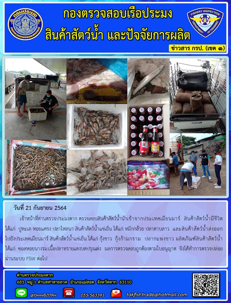 วันที่ 21 กันยายน 2564   	เจ้าหน้าที่ด่านตรวจประมงตาก ตรวจสอบสินค้าสัตว์น้ำนำเข้าจากประเทศเมียนมาร์  สินค้าสัตว์น้ำมีชีวิต  ได้แก่  ปูทะเล หอยแครง ปลาไหลนา สินค้าสัตว์น้ำแช่เย็น ได้แก่ หมึกกล้วย ปลาดาบลาว  และสินค้าสัตว์น้ำส่งออกไปยังประเทศเมียนมาร์ สินค้าสัตว์น้ำแช่เย็น ได้แก่ กุ้งขาว  กุ้งก้ามกราม  ปลากะพงขาว ผลิตภัณฑ์สินค้าสัตว์น้ำ ได้แก่  ซอสหอยนางรม เนื้อปลาทรายแดงบดปรุงแต่ง   ผลการตรวจสอบถูกต้องตามใบอนุญาต  จึงได้ทำการตรวจปล่อยผ่านระบบ FSW ต่อไป..คลิก