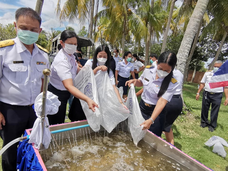 ปล่อยพันธุ์สัตว์น้ำเนื่องในวันประมงแห่งชาติ ปี 2564..คลิก