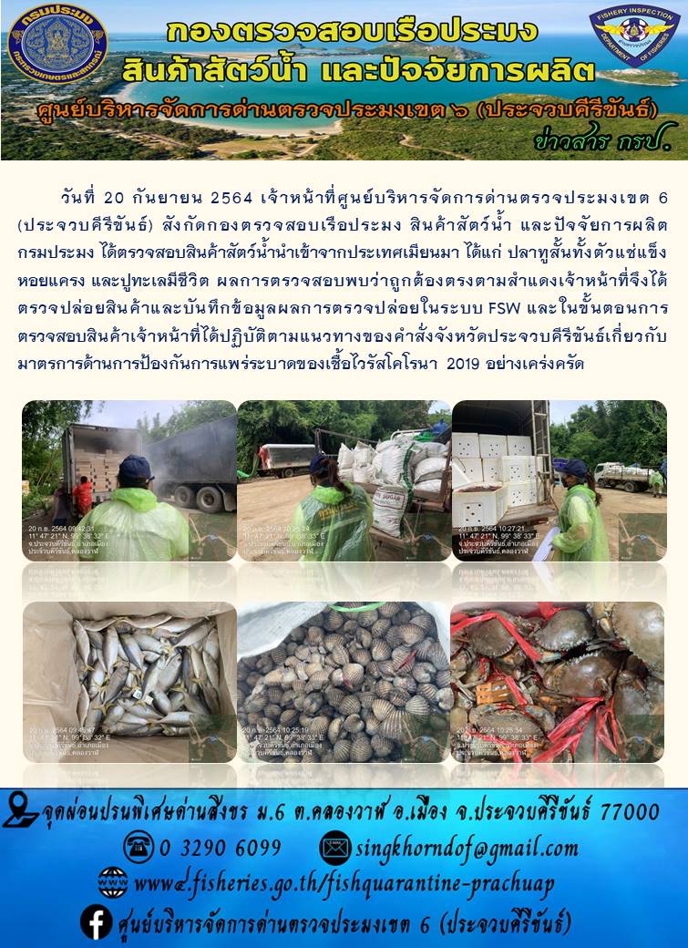 สินค้าสัตว์น้ำนำเข้าจากประเทศเมียนมา
