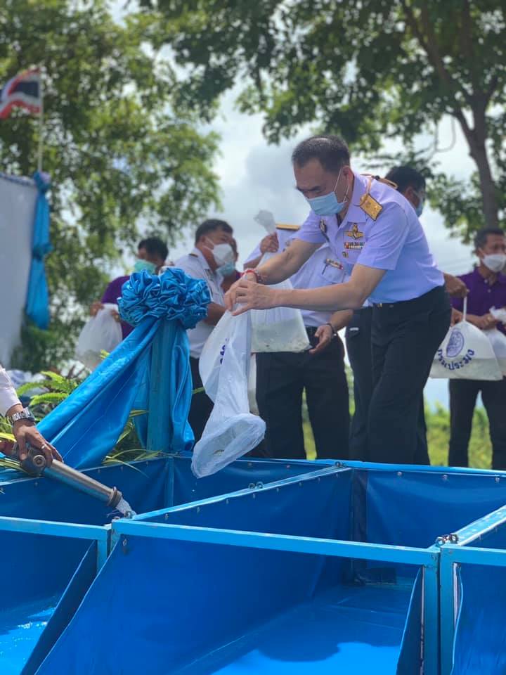 ดร.วิชาญ อิงศรีสว่าง รองอธิบดีกรมประมง เป็นประธานพิธีปล่อยพันธุ์สัตว์น้ำเนื่องในวันประมงแห่งชาติ ประจำปีพุทธศักราช 2564  ณ แหล่งน้ำสาธารณะบึงพาด ตำบลหาดสองแคว อำเภอตรอน จังหวัดอุตรดิตถ์..คลิก