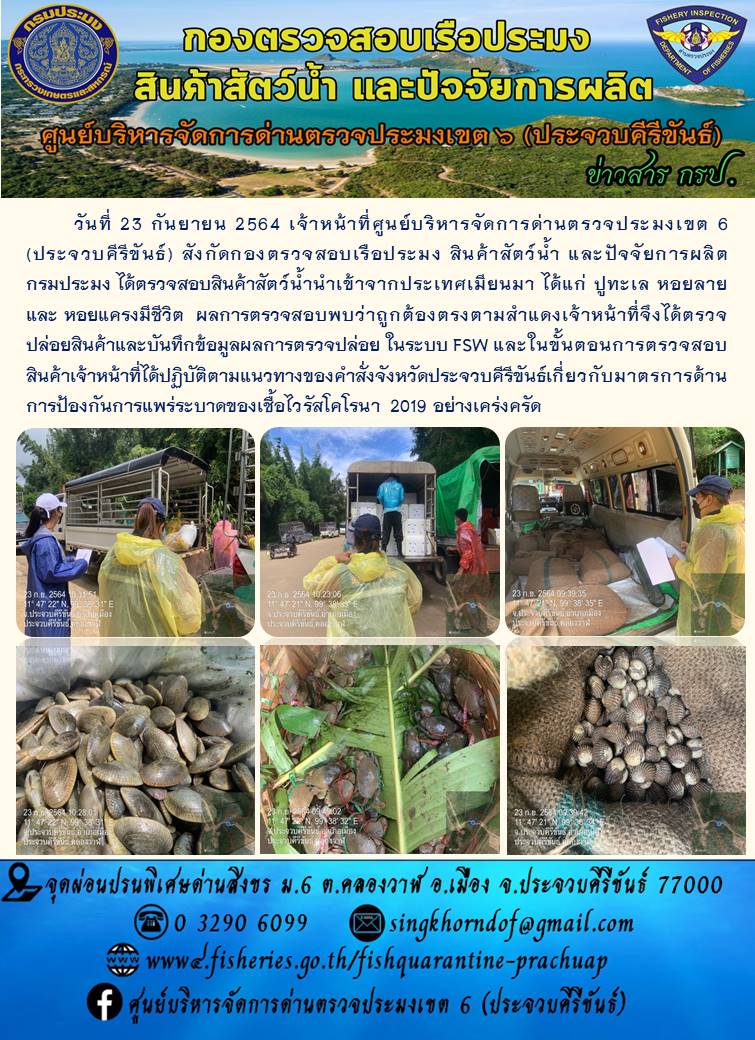 สินค้าสัตว์น้ำนำเข้าจากประเทศเมียนมา..คลิก