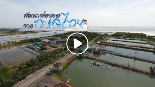 สารคดีเชิงข่าว สืบสาน สร้างสุขปวงประชา คืนความอุดมสู่ท้องทะเลไทย..คลิก