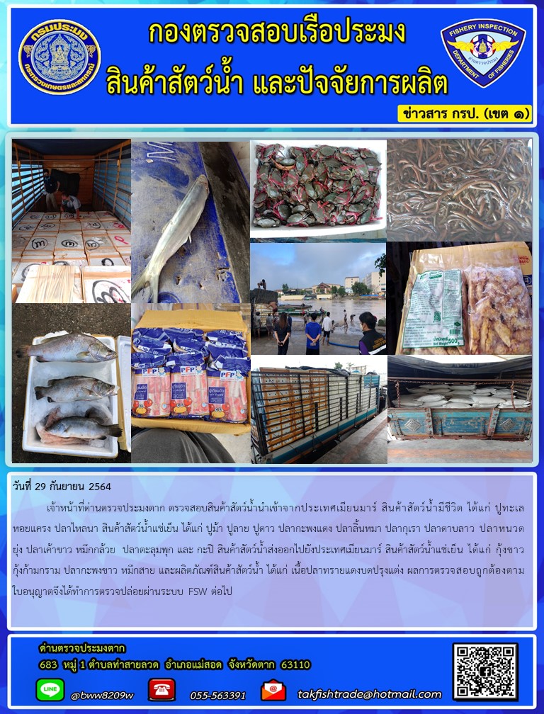 วันที่ 29 กันยายน 2564   	เจ้าหน้าที่ด่านตรวจประมงตาก ตรวจสอบสินค้าสัตว์น้ำนำเข้าจากประเทศเมียนมาร์ สินค้าสัตว์น้ำมีชีวิต ได้แก่ ปูทะเล หอยแครง ปลาไหลนา สินค้าสัตว์น้ำแช่เย็น ได้แก่ ปูม้า ปูลาย ปูดาว ปลากะพงแดง ปลาลิ้นหมา ปลากุเรา ปลาดาบลาว ปลาหนวดยุ่ง ปลาเค้าขาว หมึกกล้วย  ปลาตะลุมพุก และ กะปิ สินค้าสัตว์น้ำส่งออกไปยังประเทศเมียนมาร์ สินค้าสัตว์น้ำแช่เย็น ได้แก่ กุ้งขาว กุ้งก้ามกราม ปลากะพงขาว หมึกสาย และผลิตภัณฑ์สินค้าสัตว์น้ำ ได้แก่ เนื้อปลาทรายแดงบดปรุงแต่ง ผลการตรวจสอบถูกต้องตามใบอนุญาตจึงได้ทำการตรวจปล่อยผ่านระบบ FSW ต่อไป..คลิก
