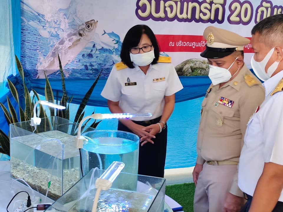 กิจกรรมปล่อยพันธุ์สัตว์น้ำ เนื่องในโอกาสวันประมงแห่งชาติ (21 กันยายน 2564) ณ บริเวณโรงเพาะฟักสัตว์น้ำ ศูนย์วิจัยและพัฒนาการเพาะเลี้ยงสัตว์น้ำชายฝั่งภูเก็ต ตำบลเทพกระษัตรี อำเภอถลาง จังหวัดภูเก็ต..คลิก