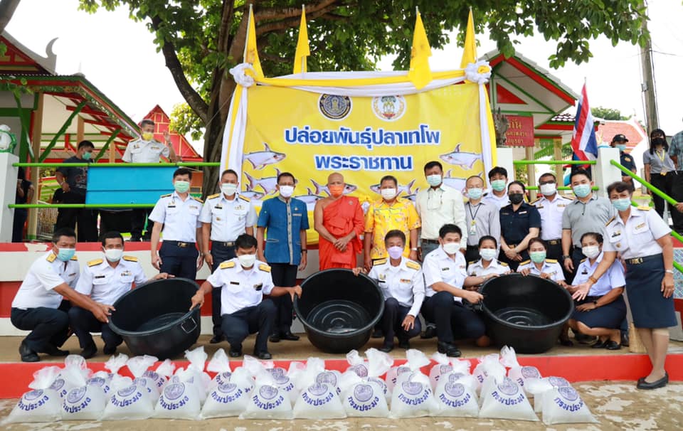 ผู้ว่าราชการจังหวัดพระนครศรีอยุธยา เป็นประธานพิธีปล่อยพันธุ์สัตว์น้ำ เนื่องในวันประมงแห่งชาติ และปล่อยพันธุ์ปลาเทโพพระราชทาน 300 ตัว..คลิก