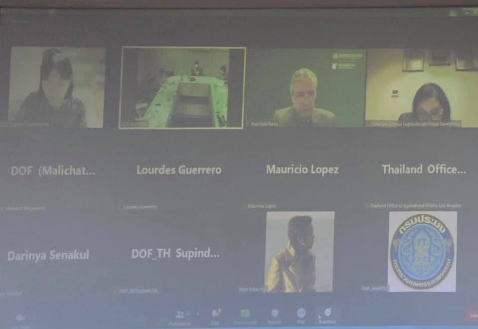 การประชุมหารือระหว่างไทยและหน่วยงาน SENASICA สหรัฐเม็กซิโก..คลิก