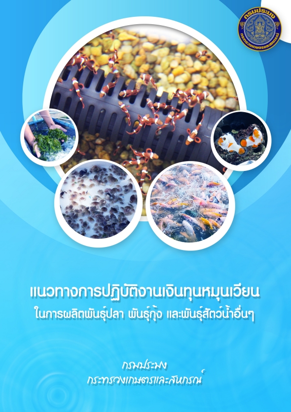 แนวปฏิบัติงานเงินทุน 64