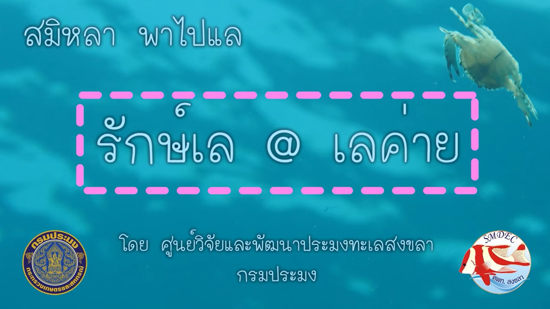 ประชาสัมพันธ์กิจกรรม EAFM โดย ศพท.สงขลา