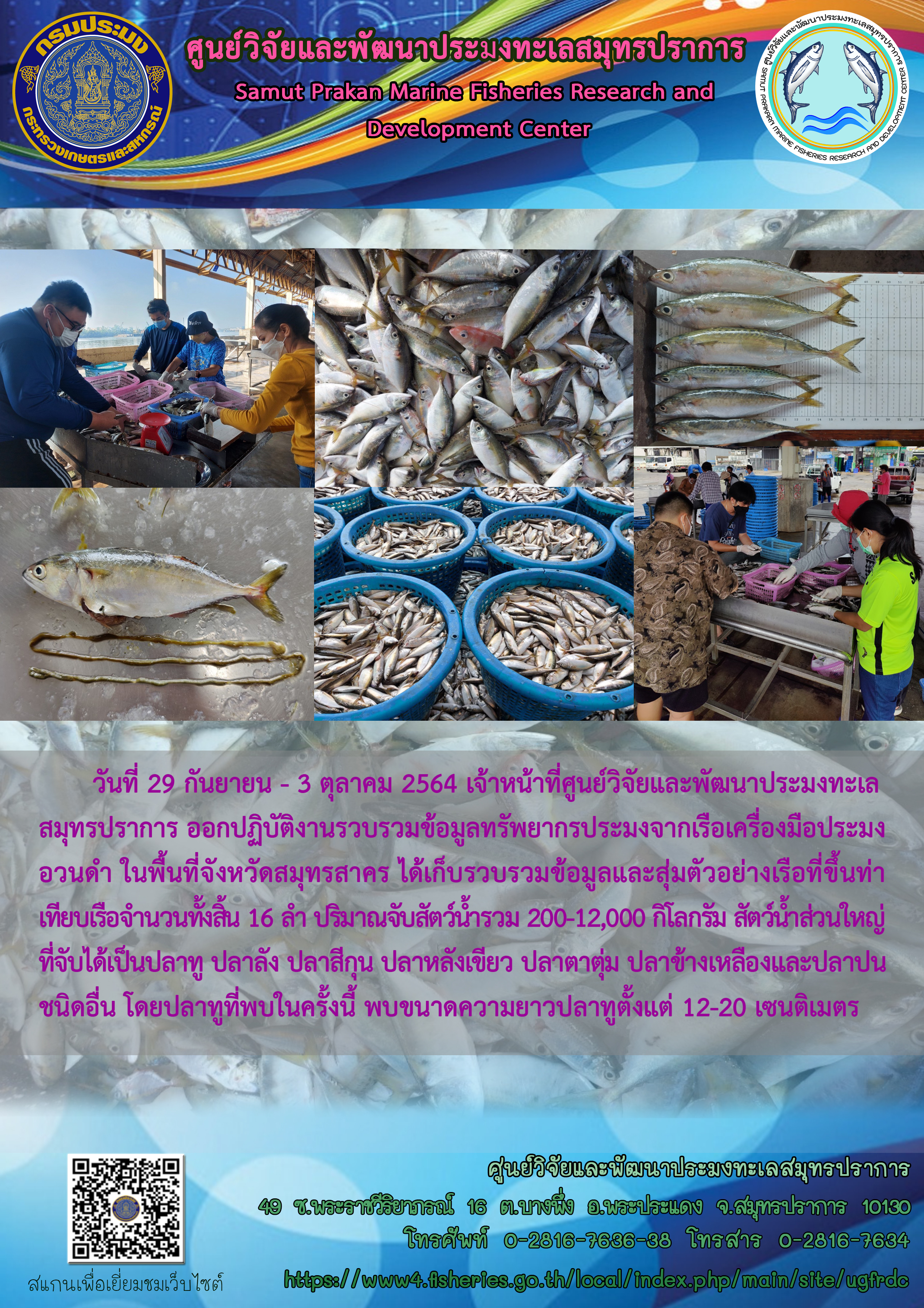 เจ้าหน้าที่ศูนย์วิจัยและพัฒนาประมงทะเลสมุทรปราการ ลงพื้นที่เก็บข้อมูลทรัพยากรเรืออวนดำ..คลิก