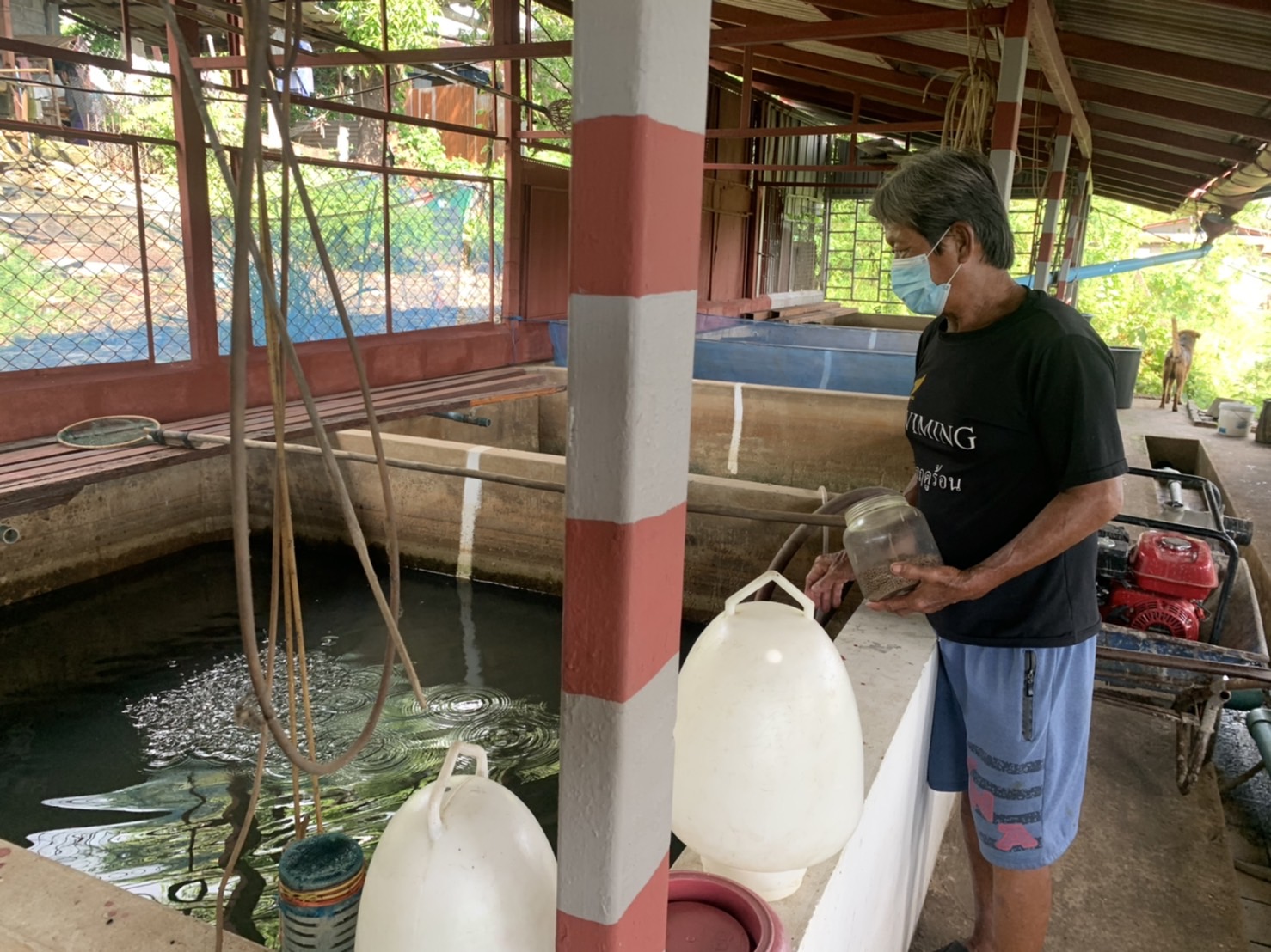 ประมงอำเภอเขื่องใน รับผิดชอบงานด้านประมงอำเภอเมืองอุบลราชธานี ลงพื้นที่ ต.ในเมืองอุบลราชธานี ตรวจสอบฟาร์มเกษตรกรผู้เพาะเลี้ยงสัตว์น้ำ..คลิก