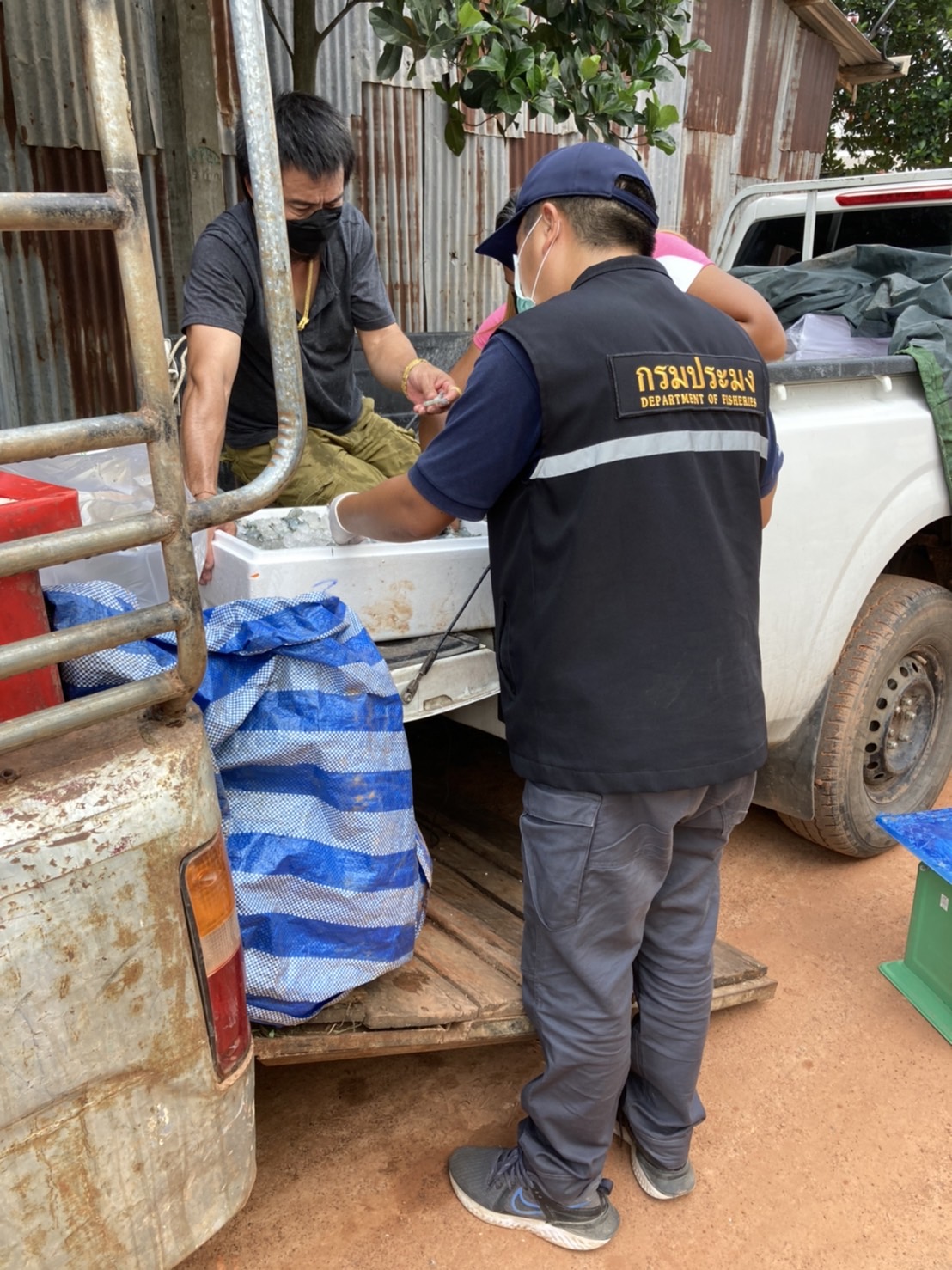 ผลการปฏิบัติงานด่านตรวจประมงสุรินทร์ วันที่ 9 ตุลาคม พ.ศ.2564..คลิก