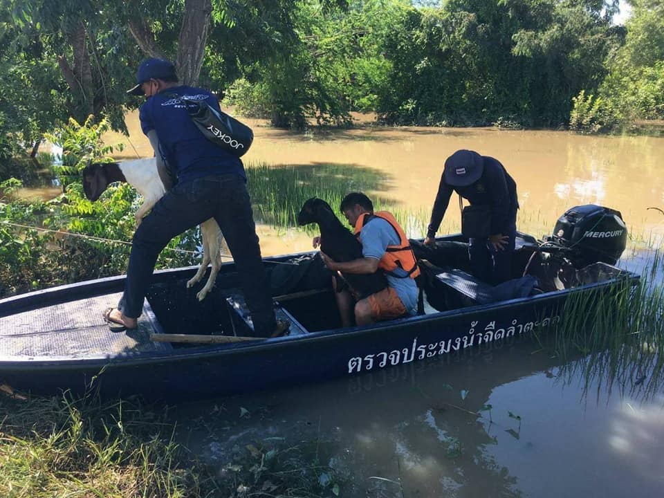 สถานการณ์ความเสียหายของเกษตรกรผู้เพาะเลี้ยงสัตว์น้ำที่ประสบอุทกภัย ช่วงวันที่ 29 ก.ย. - 7 ต.ค. 64..คลิก