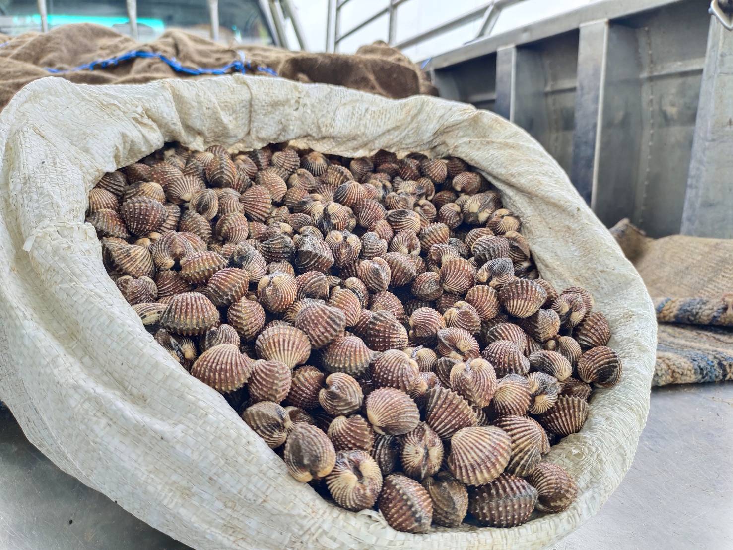 นายชนินทร์ น้อยสอาด หัวหน้าด่านตรวจประมงกาญจนบุรี มอบหมายให้ เจ้าหน้าที่ด่านตรวจประมงกาญจนบุรี ตรวจสอบสินค้าสัตว์น้ำและเอกสารการนำเข้า หอยแครงมีชีวิต หมึกหอมแช่เย็น หมึกกระดองแช่ย็น และสัตว์น้ำอื่นๆ ผ่านทางช่องทางจุดผ่านแดนถาวรบ้านพุน้ำร้อน..คลิก