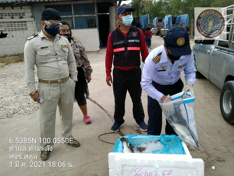ผลการปฏิบัติงานตรวจวิเคราะห์คุณภาพวัตถุดิบ ผลิตภัณฑ์ และแหล่งประมง สุ่มตัวอย่างสัตว์น้ำนำเข้า ตรวจวิเคราะห์ เฝ้าระวังสารตกค้างและตรวจสอบสัตว์น้ำกายภาพเบื้องต้น ในระหว่างเดือนตุลาคม 2563 – กันยายน 2564..คลิก