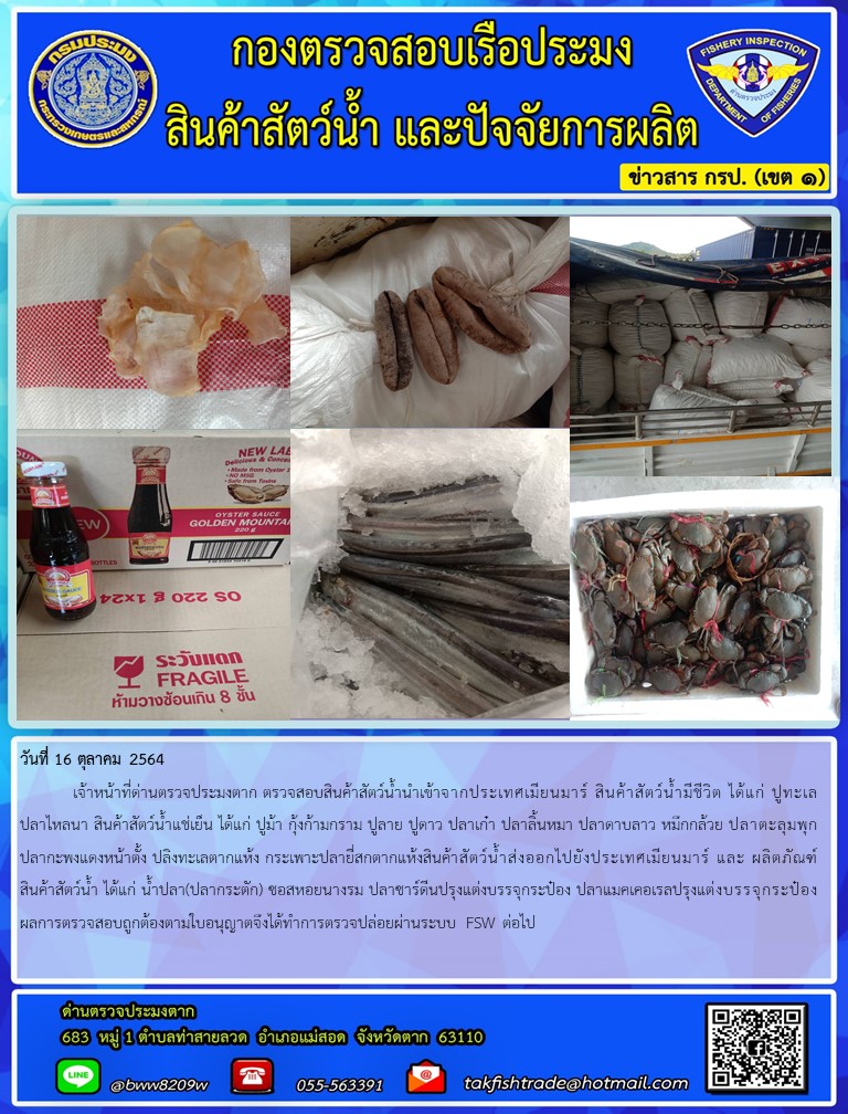 วันที่ 16 ตุลาคม 2564   	เจ้าหน้าที่ด่านตรวจประมงตาก ตรวจสอบสินค้าสัตว์น้ำนำเข้าจากประเทศเมียนมาร์ สินค้าสัตว์น้ำมีชีวิต ได้แก่ ปูทะเลปลาไหลนา สินค้าสัตว์น้ำแช่เย็น ได้แก่ ปูม้า กุ้งก้ามกราม ปูลาย ปูดาว ปลาเก๋า ปลาลิ้นหมา ปลาดาบลาว หมึกกล้วย ปลาตะลุมพุก ปลากะพงแดงหน้าตั้ง ปลิงทะเลตากแห้ง กระเพาะปลายี่สกตากแห้งสินค้าสัตว์น้ำส่งออกไปยังประเทศเมียนมาร์ และ ผลิตภัณฑ์สินค้าสัตว์น้ำ ได้แก่ น้ำปลา(ปลากระตัก) ซอสหอยนางรม ปลาซาร์ดีนปรุงแต่งบรรจุกระป๋อง ปลาแมคเคอเรลปรุงแต่งบรรจุกระป๋อง ผลการตรวจสอบถูกต้องตามใบอนุญาตจึงได้ทำการตรวจปล่อยผ่านระบบ FSW ต่อไป..คลิก