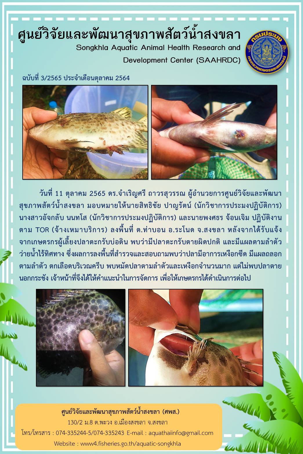 ฉบับที่ 3/2565 ศูนย์วิจัยและพัฒนาสุขภาพสัตว์น้ำสงขลา ลงพื้นที่ ต.ท่าบอน อ.ระโนด จ.สงขลา หลังจากได้รับแจ้ง จากเกษตรกรผู้เลี้ยงปลาตะกรับบ่อดิน พบว่ามีปลาตะกรับตายผิดปกติ และมีแผลตามลำตัว ว่ายนํ้าไร้ทิศทาง..คลิก