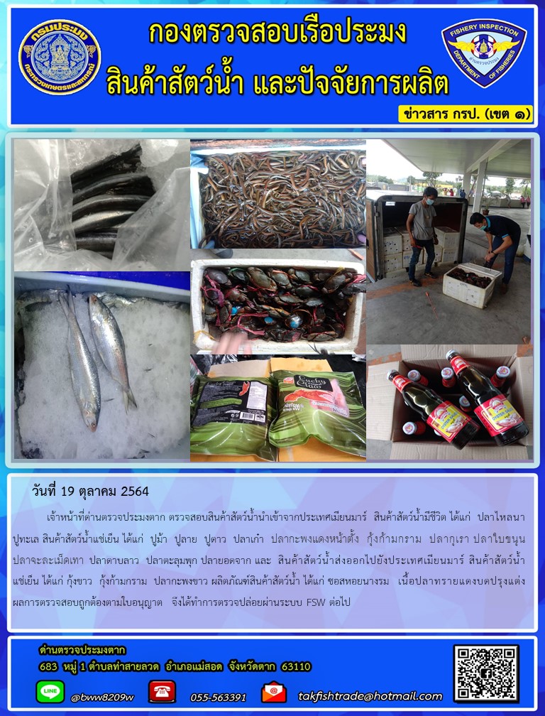 วันที่ 19 ตุลาคม 2564   	เจ้าหน้าที่ด่านตรวจประมงตาก ตรวจสอบสินค้าสัตว์น้ำนำเข้าจากประเทศเมียนมาร์  สินค้าสัตว์น้ำมีชีวิต ได้แก่  ปลาไหลนา ปูทะเล สินค้าสัตว์น้ำแช่เย็น ได้แก่  ปูม้า  ปูลาย  ปูดาว  ปลาเก๋า  ปลากะพงแดงหน้าตั้ง  กุ้งก้ามกราม  ปลากุเรา ปลาใบขนุน  ปลาจะละเม็ดเทา  ปลาดาบลาว  ปลาตะลุมพุก ปลายอดจาก และ  สินค้าสัตว์น้ำส่งออกไปยังประเทศเมียนมาร์ สินค้าสัตว์น้ำแช่เย็น ได้แก่ กุ้งขาว  กุ้งก้ามกราม  ปลากะพงขาว ผลิตภัณฑ์สินค้าสัตว์น้ำ ได้แก่ ซอสหอยนางรม  เนื้อปลาทรายแดงบดปรุงแต่ง ผลการตรวจสอบถูกต้องตามใบอนุญาต  จึงได้ทำการตรวจปล่อยผ่านระบบ FSW ต่อไป..คลิก