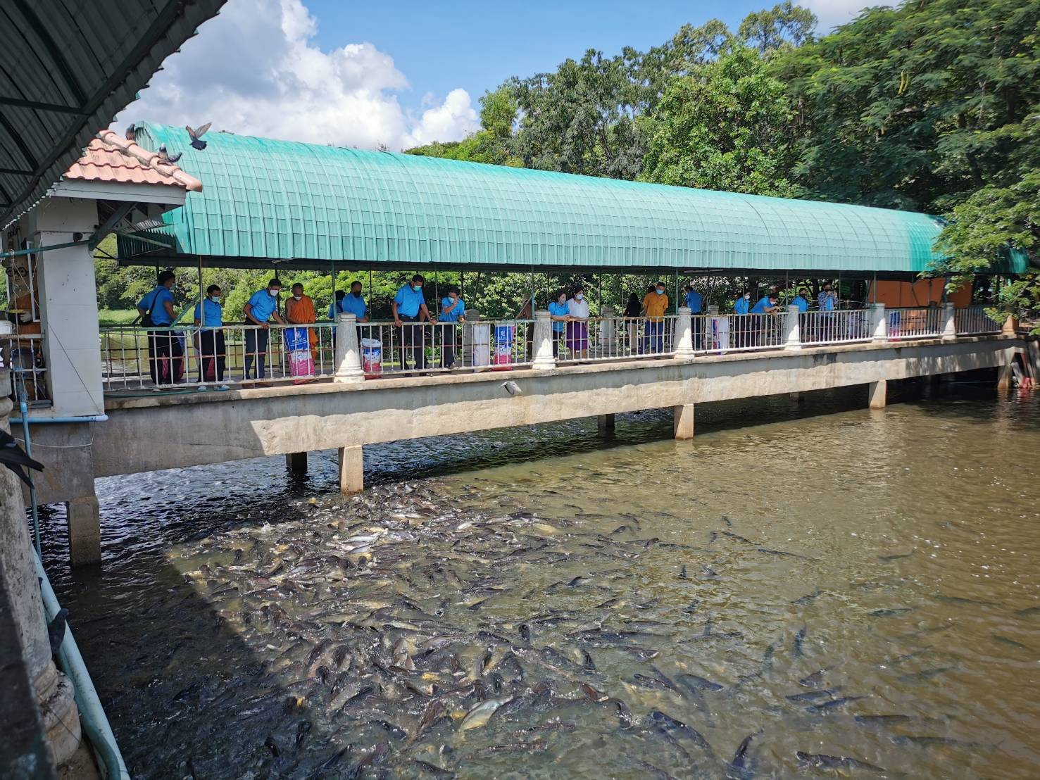 ข่าวประชาสัมพันธ์ 405/2564 ประมงยโสธรเข้าวัดทำบุญหนุนเสริมกิจกรรมเขตพื้นที่อนุรักษ์สัตว์น้ำ..คลิก