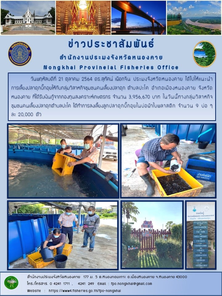 ข่าวประชาสัมพันธ์สำนักงานประมงจังหวัดหนองคาย..คลิก