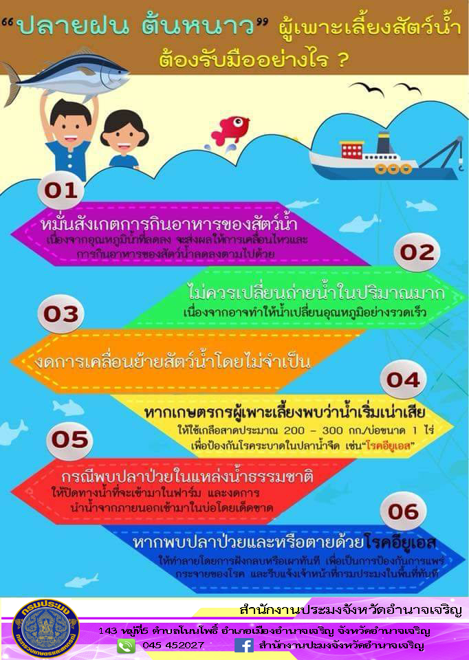 ข้อควรระวังการเลี้ยงสัตว์น้ำในช่วงปลายฝน - ต้นหนาว..คลิก