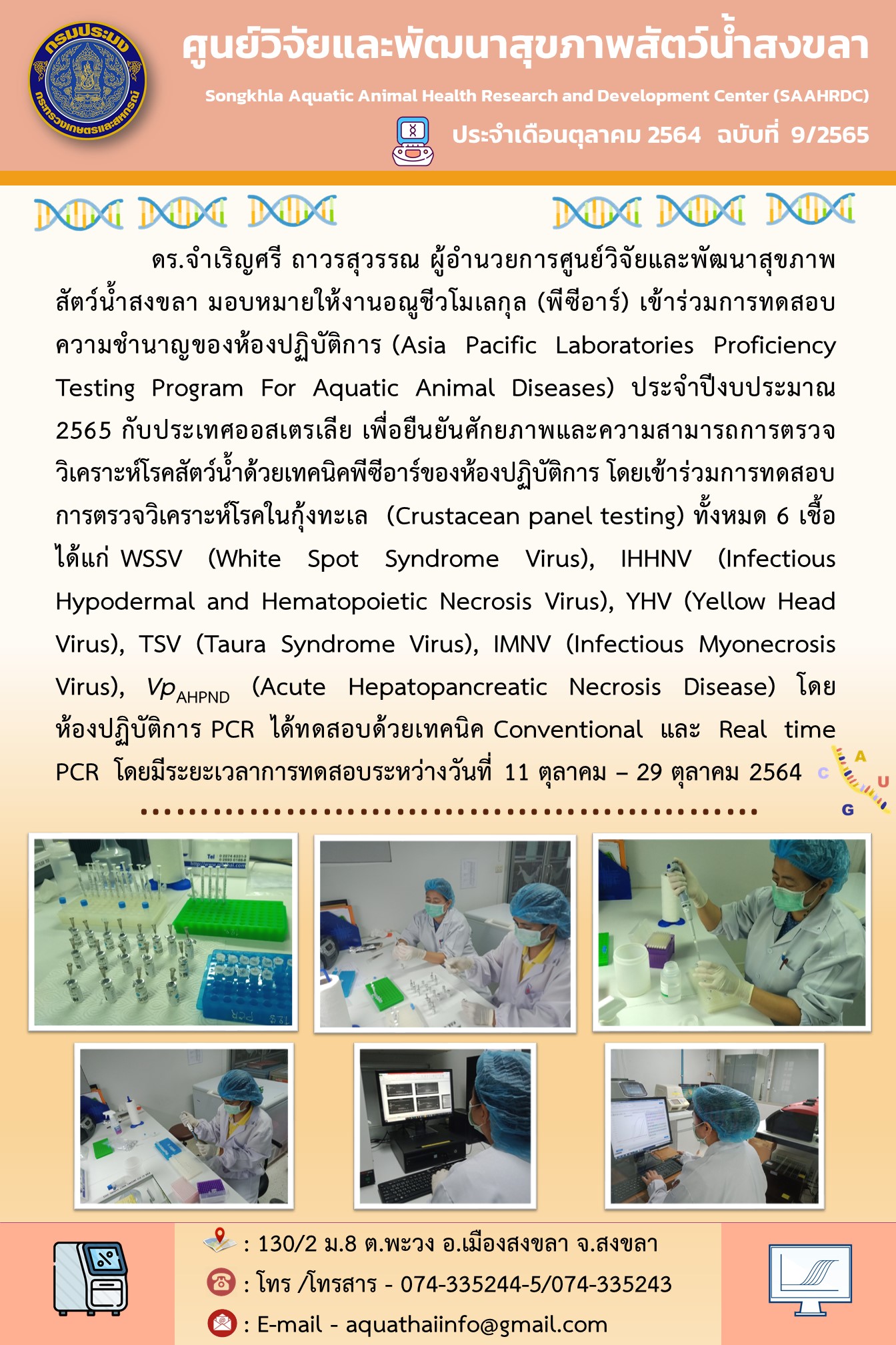 ฉบับที่ 9/2565 ศูนย์วิจัยและพัฒนาสุขภาพสัตว์น้ำสงขลา เข้าร่วมการทดสอบ ความชำนาญของห้องปฏิบัติการ ประจำปีงบประมาณ 2565 กับประเทศออสเตรเลีย..คลิก