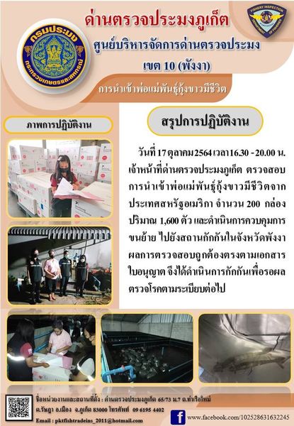 วันที่ 17 ตุลาคม 2564 เวลา 16.30  - 20.00 น. เจ้าหน้าที่ด่านตรวจประมงภูเก็ต ตรวจสอบการนำเข้าพ่อแม่พันธุ์กุ้งขาวมีชีวิตจากประเทศสหรัฐอเมริกา จำนวน 200 กล่อง ปริมาณ 1,600 ตัว และดำเนินการควบคุมการขนย้ายไปยังสถานกักกันในจังหวัดพังงา ผลการตรวจสอบถูกต้องตรงตามเอกสารใบอนุญาต จึงได้ดำเนินการกักกันเพื่อรอผลตรวจโรคตามระเบียบต่อไป..คลิก