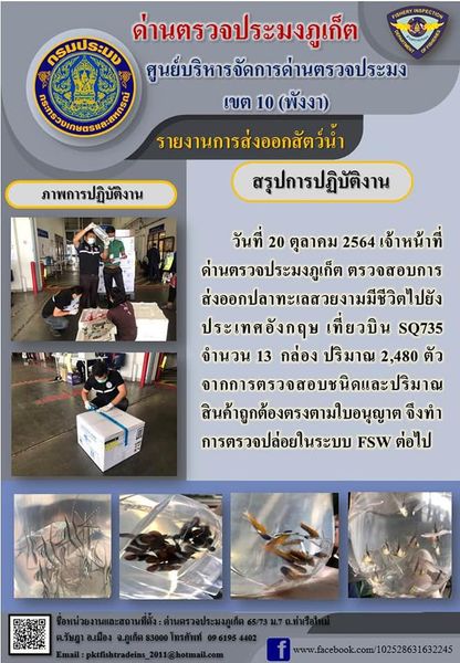 วันที่ 20 ตุลาคม 2564 เวลา 15.30 น. เจ้าหน้าที่ด่านตรวจประมงภูเก็ตตรวจสอบการส่งออกปลาทะเลสวยงามมีชีวิตไปยังประเทศอังกฤษ เที่ยวบิน SQ735 จำนวน 13 กล่อง ปริมาณ 2,480 ตัว จากการตรวจสอบชนิดและปริมาณสินค้าถูกต้องตรงตามใบอนุญาต จึงทำการตรวจปล่อยในระบบ FSW ต่อไป..คลิก