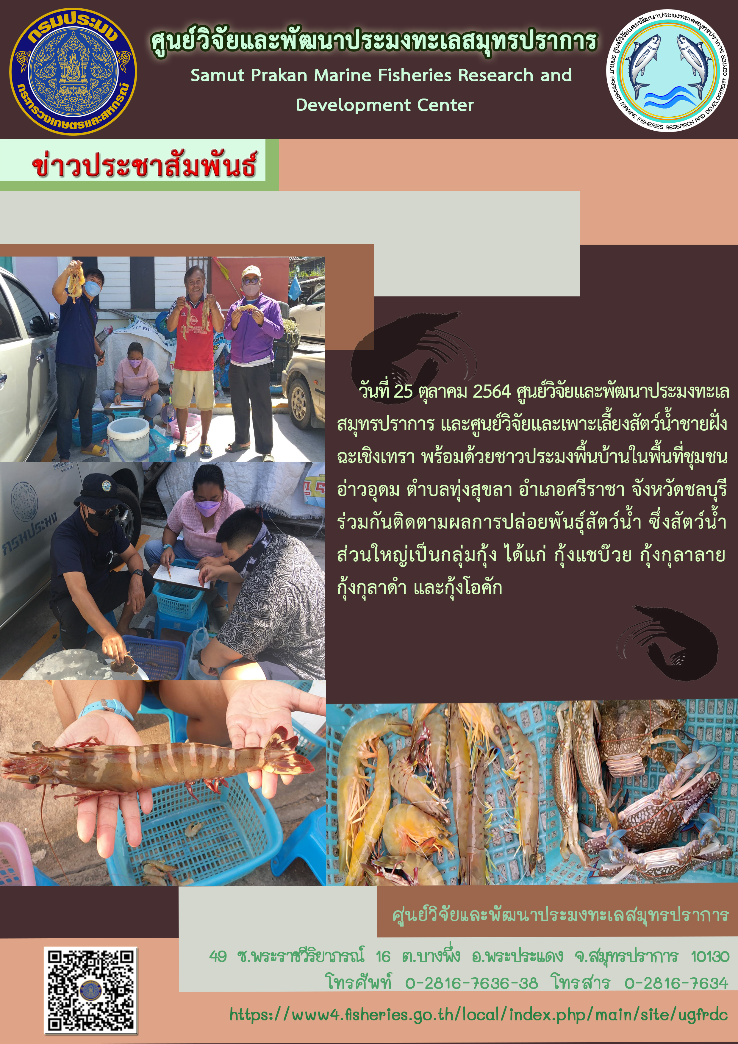 เจ้าหน้าที่ศูนย์วิจัยและพัฒนาประมงทะเลสมุทรปราการ และศูนย์วิจัยและเพาะเลี้ยงสัตว์น้ำชายฝั่งฉะเชิงเทรา ติดตามผลการปล่อยพันธุ์สัตว์น้ำ..คลิก