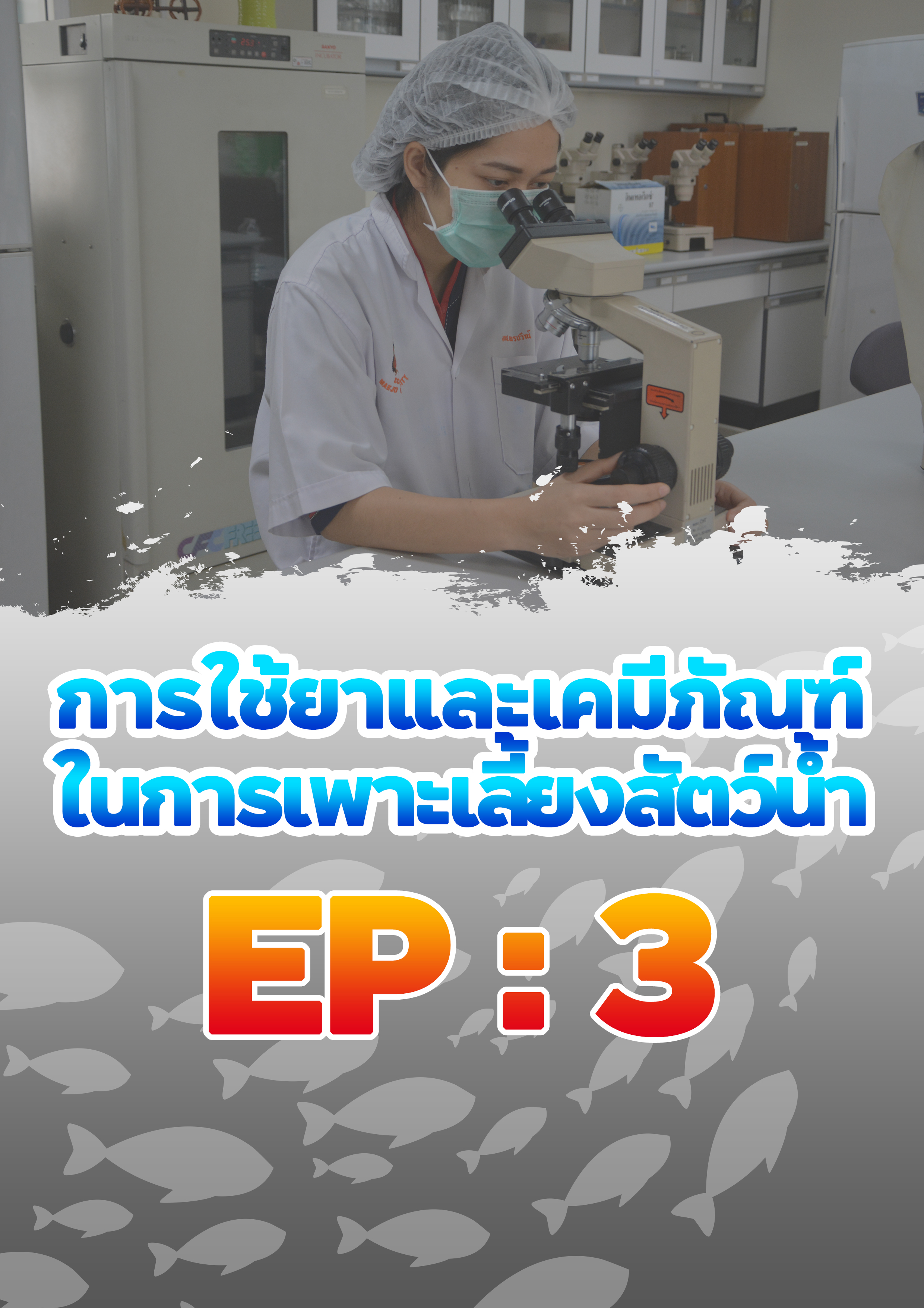 วิธีการตรวจสอบทะเบียนยาสัตว์น้ำ ? : การใช้ยาและเคมีภัณฑ์ในการเพาะเลี้ยงสัตว์น้ำ EP.3