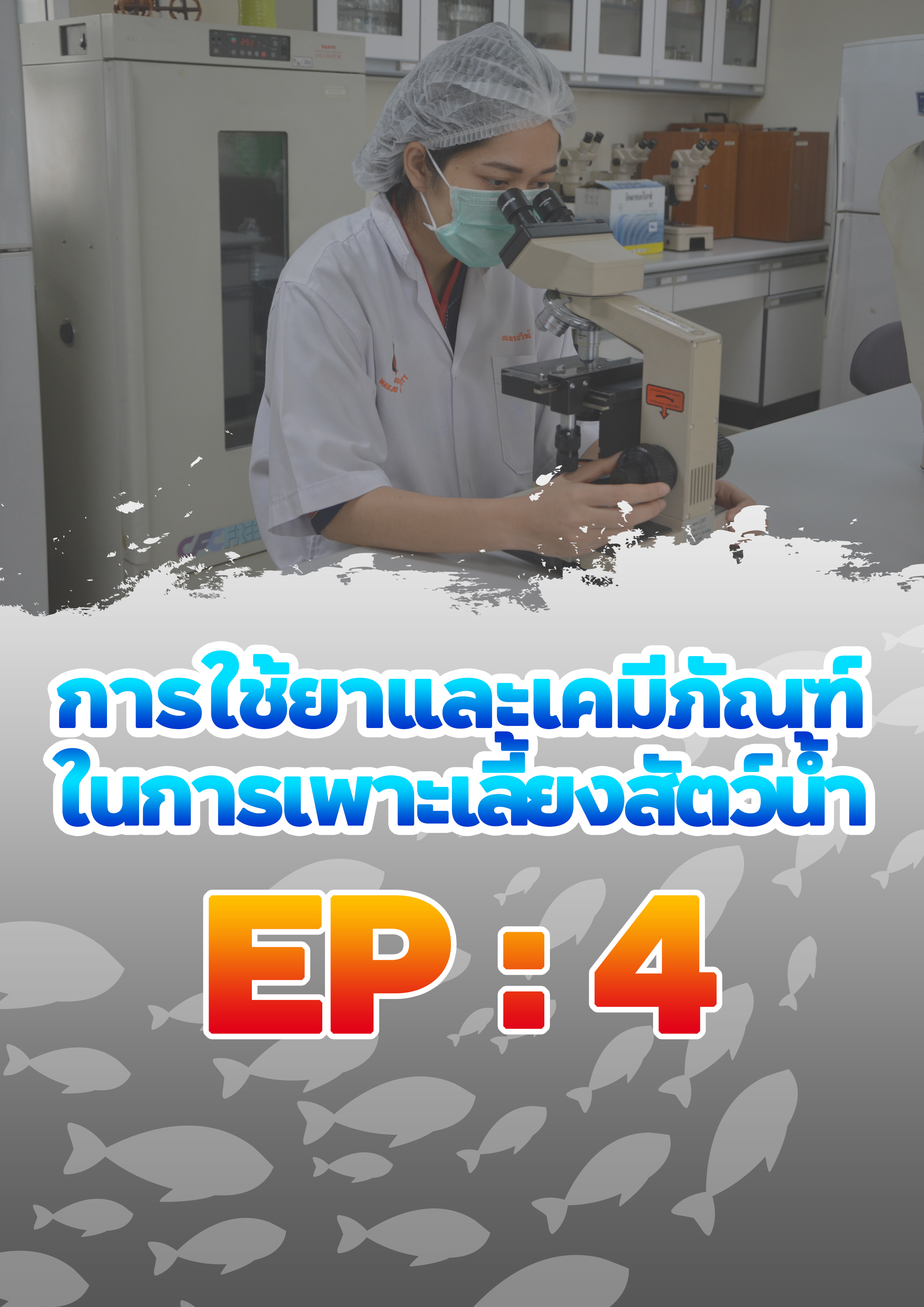 การใช้ยาในสัตว์น้ำ : การใช้ยาและเคมีภัณฑ์ในการเพาะเลี้ยงสัตว์น้ำ EP.4
