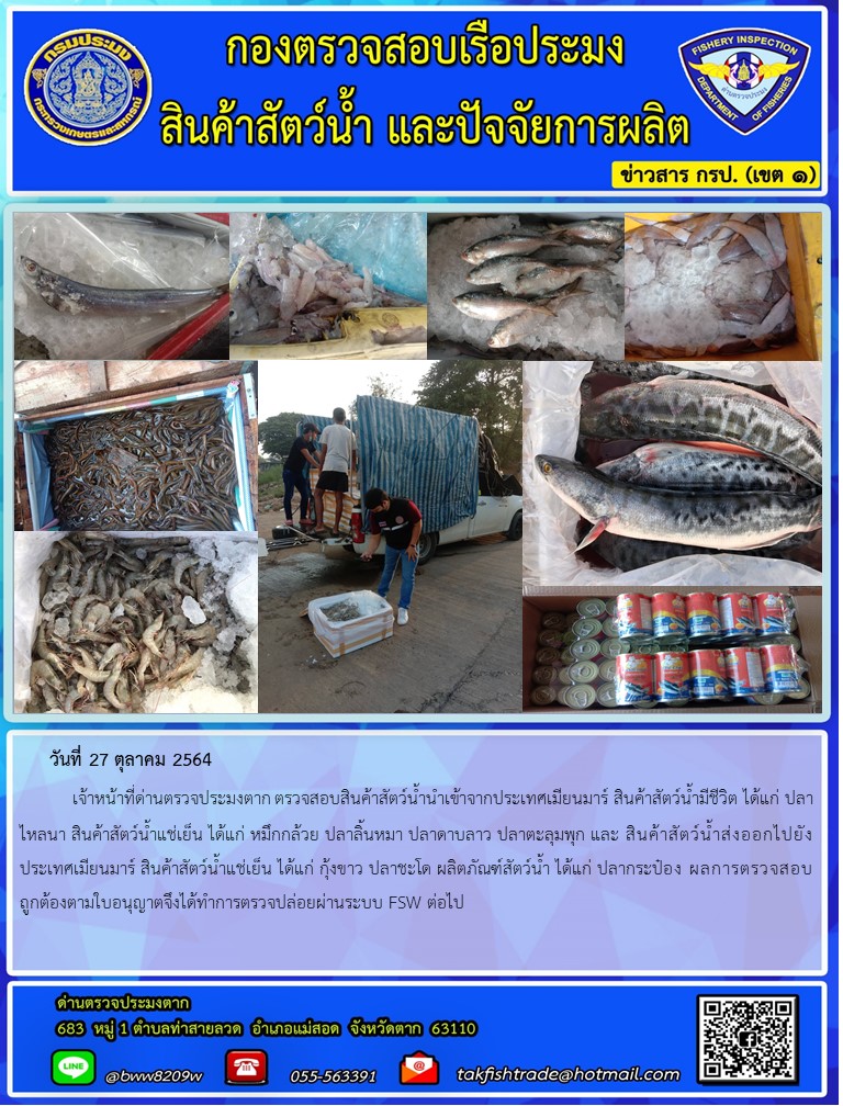 วันที่ 27 ตุลาคม 2564   	เจ้าหน้าที่ด่านตรวจประมงตาก ตรวจสอบสินค้าสัตว์น้ำนำเข้าจากประเทศเมียนมาร์ สินค้าสัตว์น้ำมีชีวิต ได้แก่ ปลาไหลนา สินค้าสัตว์น้ำแช่เย็น ได้แก่ หมึกกล้วย ปลาลิ้นหมา ปลาดาบลาว ปลาตะลุมพุก และ สินค้าสัตว์น้ำส่งออกไปยังประเทศเมียนมาร์ สินค้าสัตว์น้ำแช่เย็น ได้แก่ กุ้งขาว ปลาชะโด ผลิตภัณฑ์สัตว์น้ำ ได้แก่ ปลากระป๋อง ผลการตรวจสอบถูกต้องตามใบอนุญาตจึงได้ทำการตรวจปล่อยผ่านระบบ FSW ต่อไป..คลิก