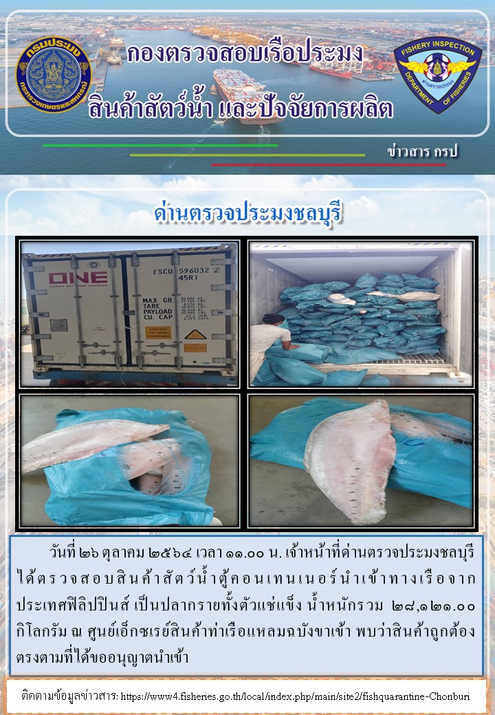 การปฏิบัติงานของเจ้าหน้าที่ด่านตรวจประมงชลบุรีประจำวันที่ 26 ตุลาคม 2564..คลิก