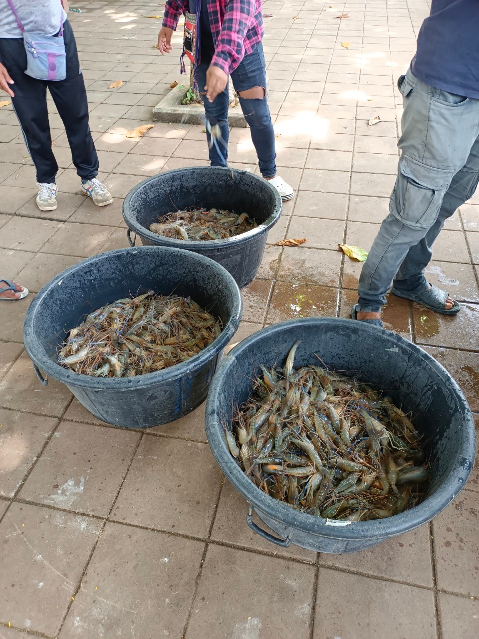 ตรวจสอบสินค้าส่งออก..คลิก