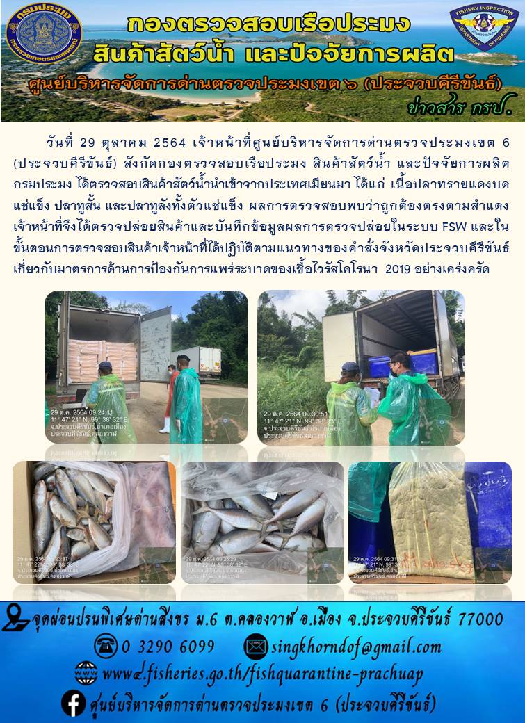 สินค้าสัตว์น้ำนำเข้าจากประเทศเมียนมา..คลิก