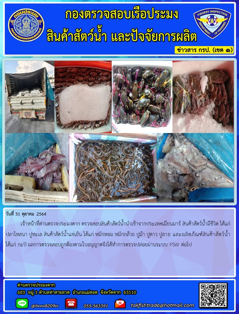 วันที่ 31 ตุลาคม 2564   	เจ้าหน้าที่ด่านตรวจประมงตาก ตรวจสอบสินค้าสัตว์น้ำนำเข้าจากประเทศเมียนมาร์ สินค้าสัตว์น้ำมีชีวิต ได้แก่ ปลาไหลนา ปูทะเล สินค้าสัตว์น้ำแช่เย็น ได้แก่ หมึกหอม หมึกกล้วย ปูม้า ปูดาว ปูลาย และผลิตภัณฑ์สินค้าสัตว์น้ำได้แก่ กะปิ ผลการตรวจสอบถูกต้องตามใบอนุญาตจึงได้ทำการตรวจปล่อยผ่านระบบ FSW ต่อไป..คลิก