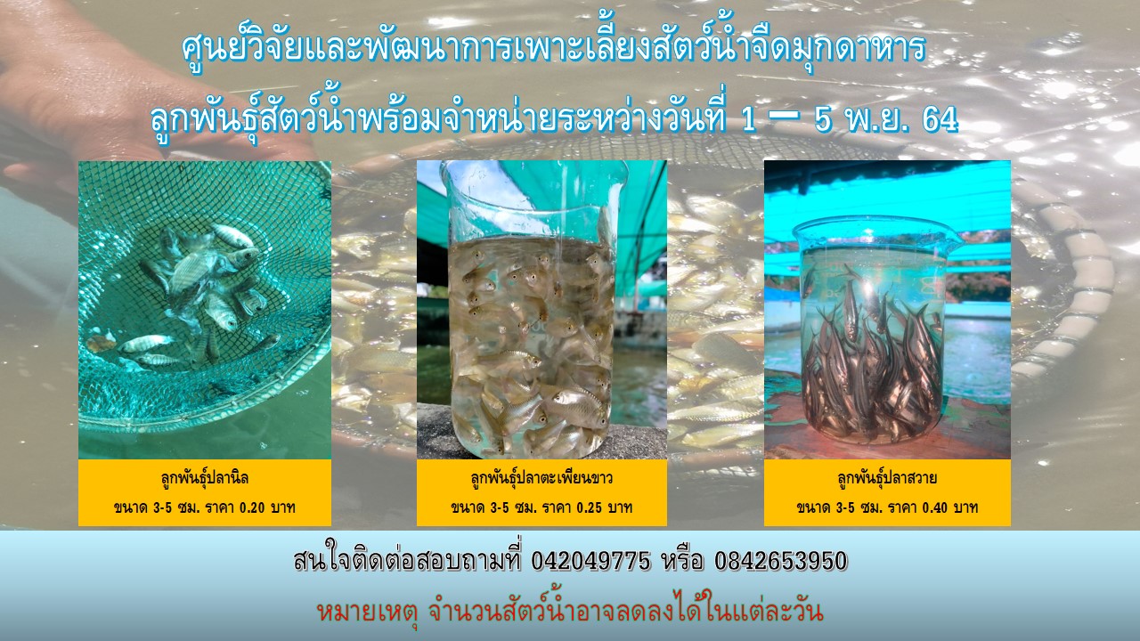 ลูกพันธุ์สัตว์น้ำพร้อมจำหน่าย..คลิก