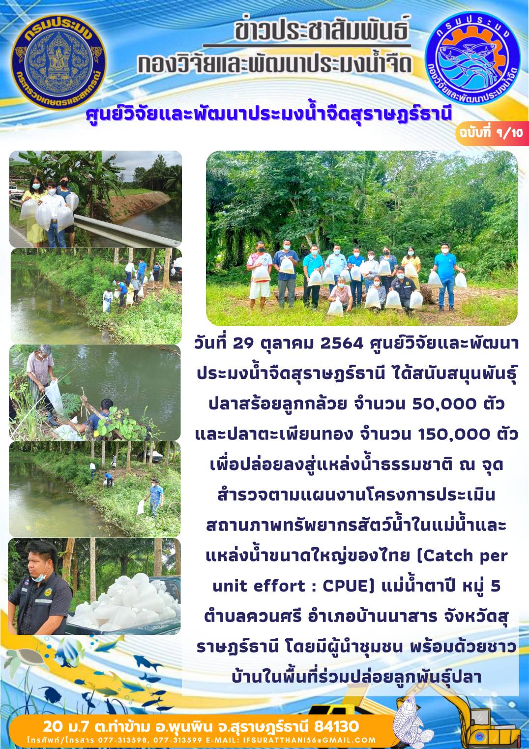 วันที่ 29 ตุลาคม 2564 ศูนย์วิจัยและพัฒนาประมงน้ำจืดสุราษฎร์ธานี ปล่อยพันธุ์ปลาตามจุด CPUE อำเภอบ้านนาสาร